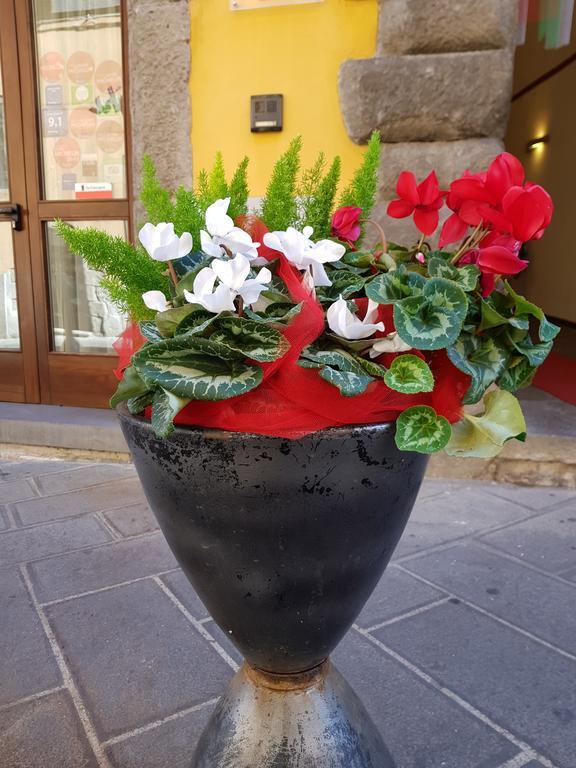 Hotel Urbano V Montefiascone Eksteriør billede